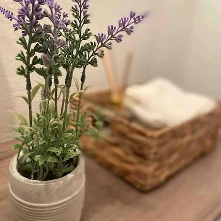 Zentrale Alte Baeckerei