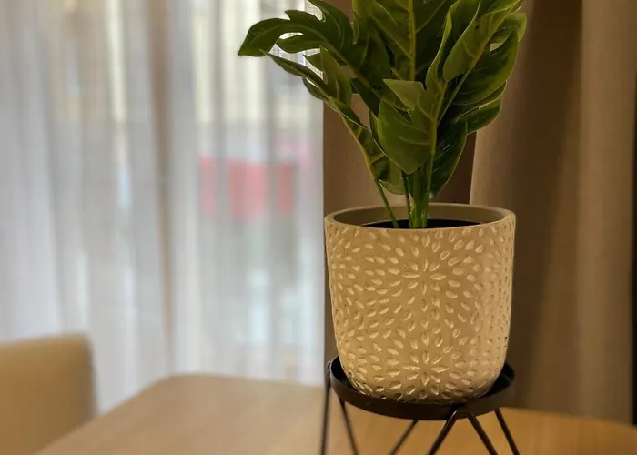 Apartment Zentrale Alte Baeckerei *