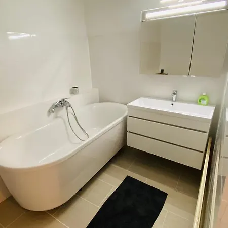 公寓 Zentrale Alte Baeckerei 格蒙登