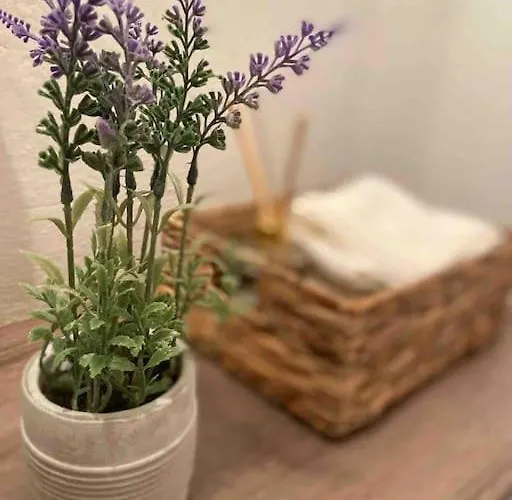 Zentrale Alte Baeckerei